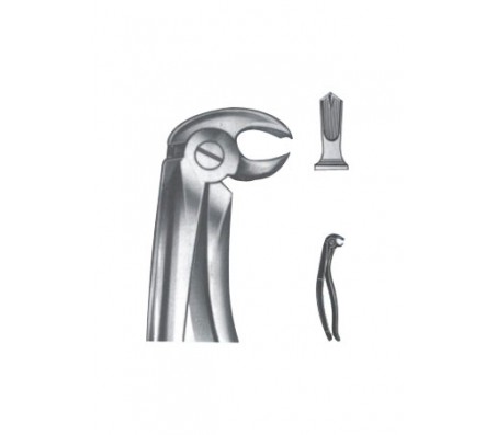 Extracting Forceps